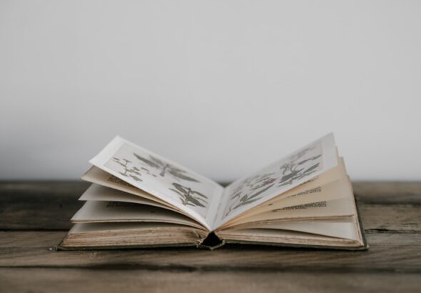 An open book with illustrations on a wooden surface.