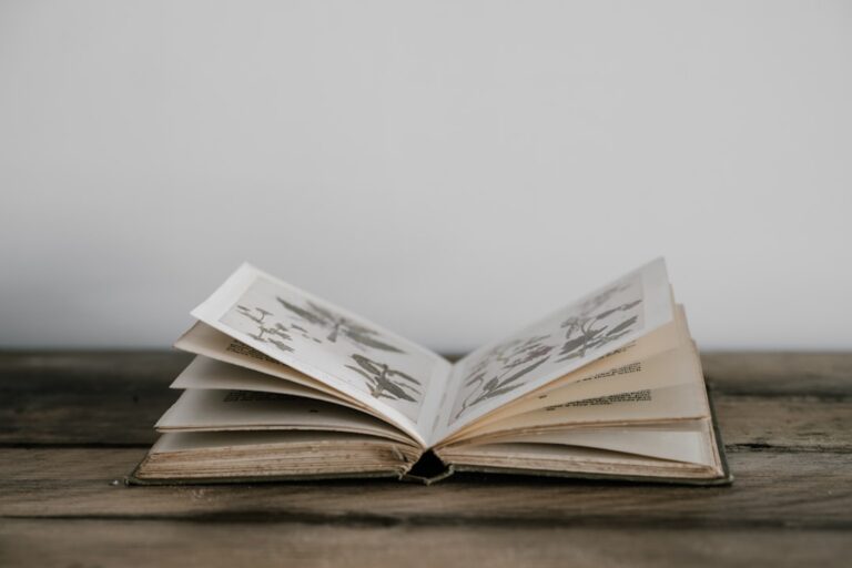 An open book with illustrations on a wooden surface.