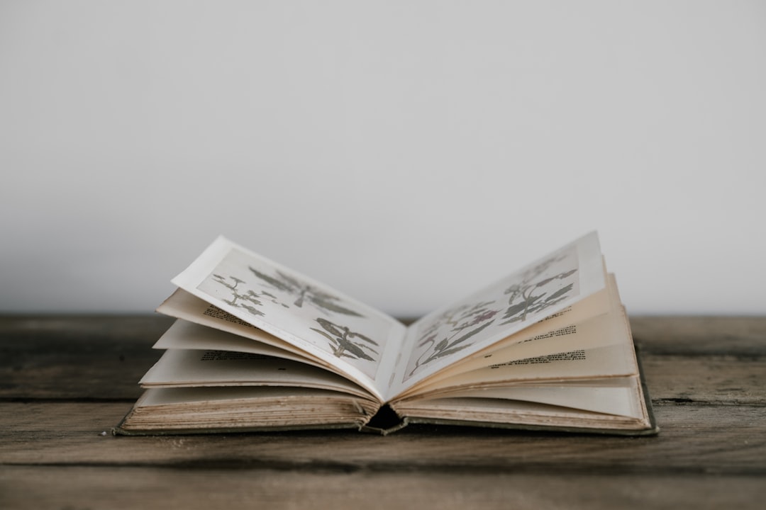 An open book with illustrations on a wooden surface.